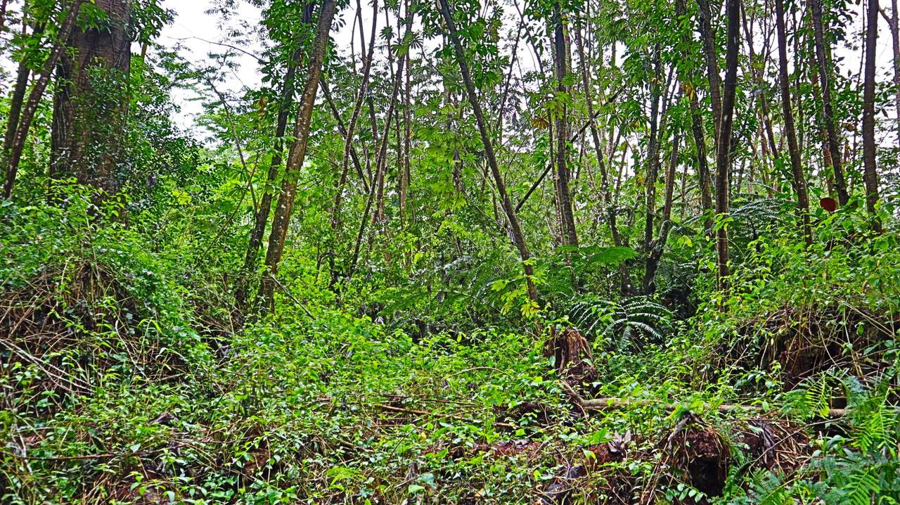  Ginger Rd - Photo 1