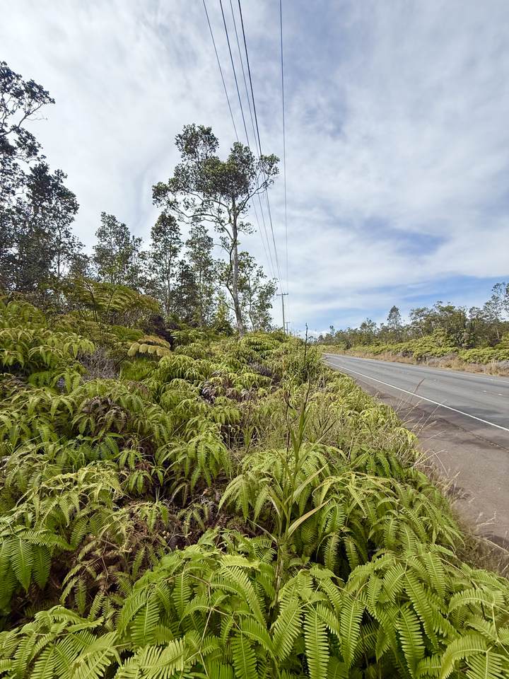  Volcano Rd - Photo 1