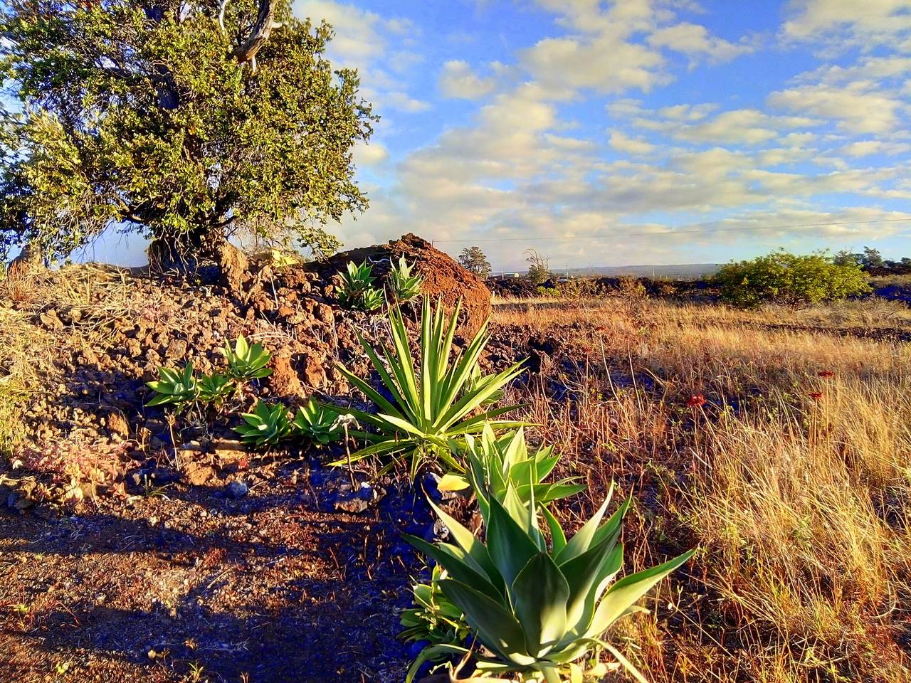 https://bt-photos.global.ssl.fastly.net/hawaii/1280_boomver_1_727414-1.jpg