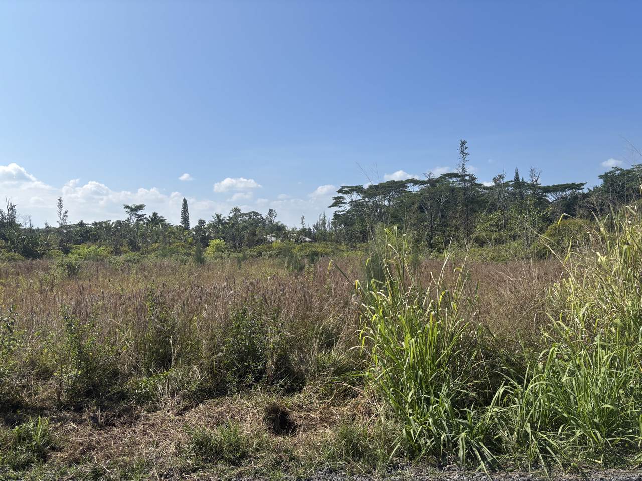 https://bt-photos.global.ssl.fastly.net/hawaii/1280_boomver_1_727450-1.jpg