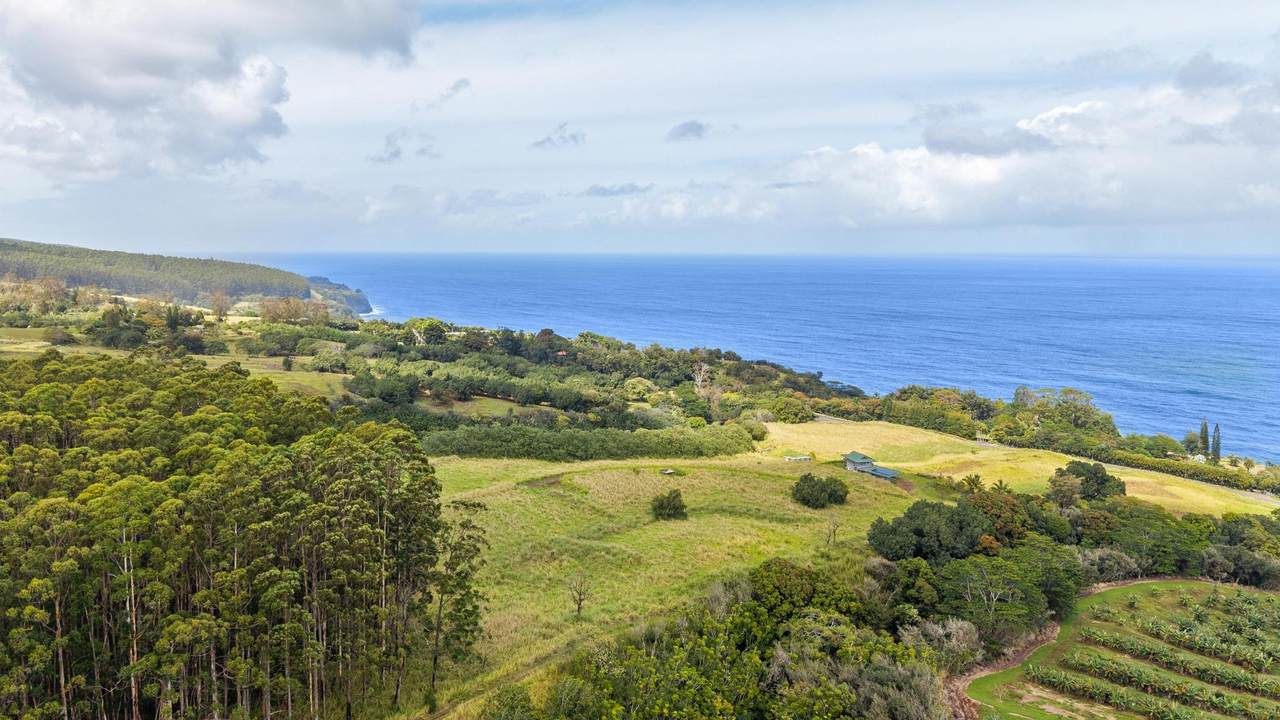 34-1219 Hawaii Belt Rd - Photo 1