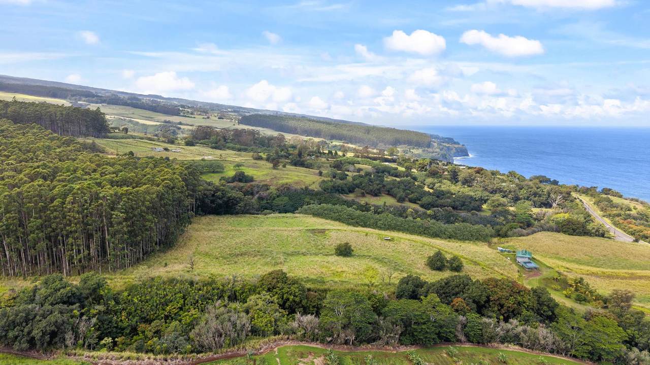 https://bt-photos.global.ssl.fastly.net/hawaii/1280_boomver_1_727460-1.jpg