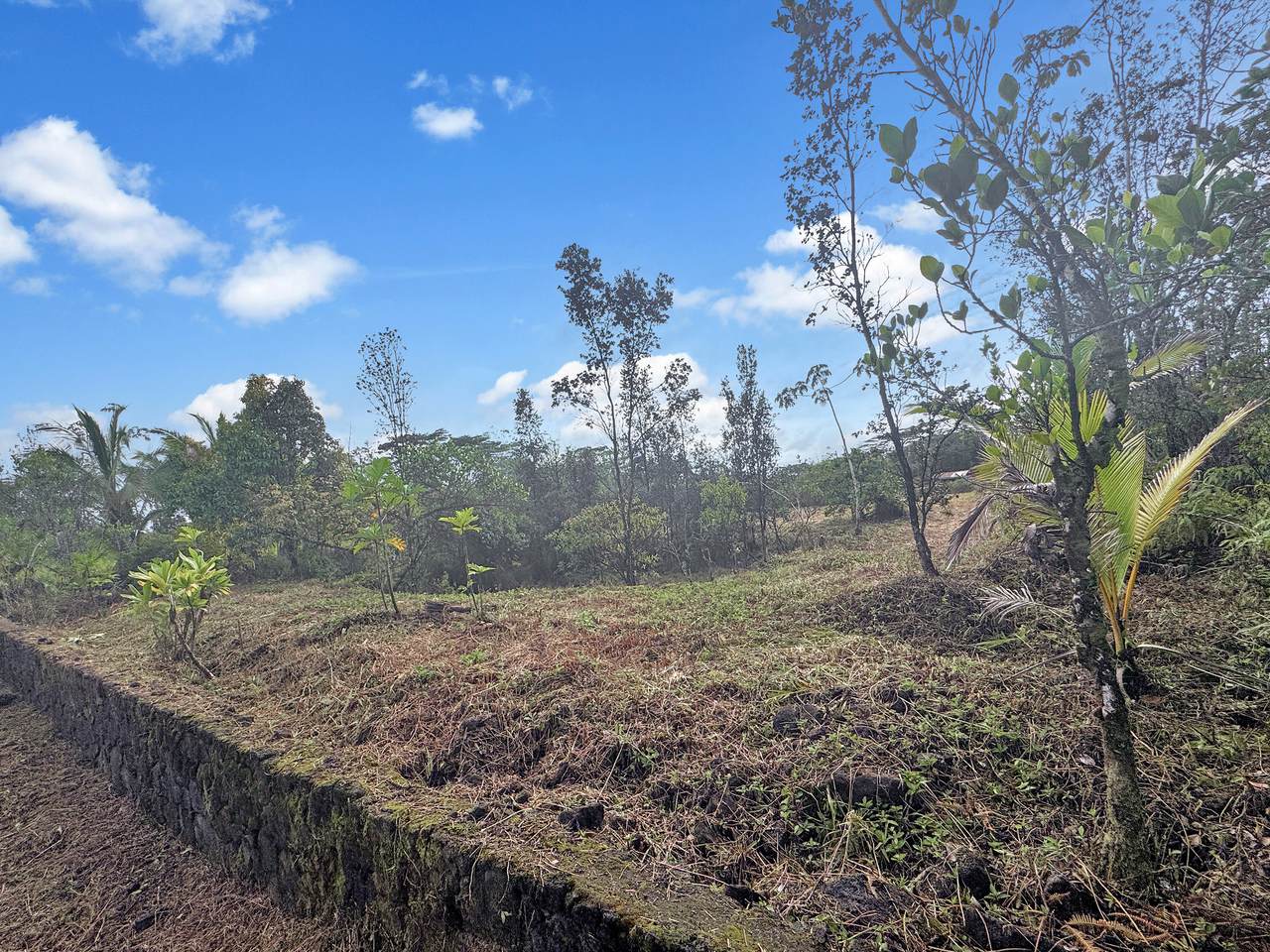 https://bt-photos.global.ssl.fastly.net/hawaii/1280_boomver_1_727475-1.jpg