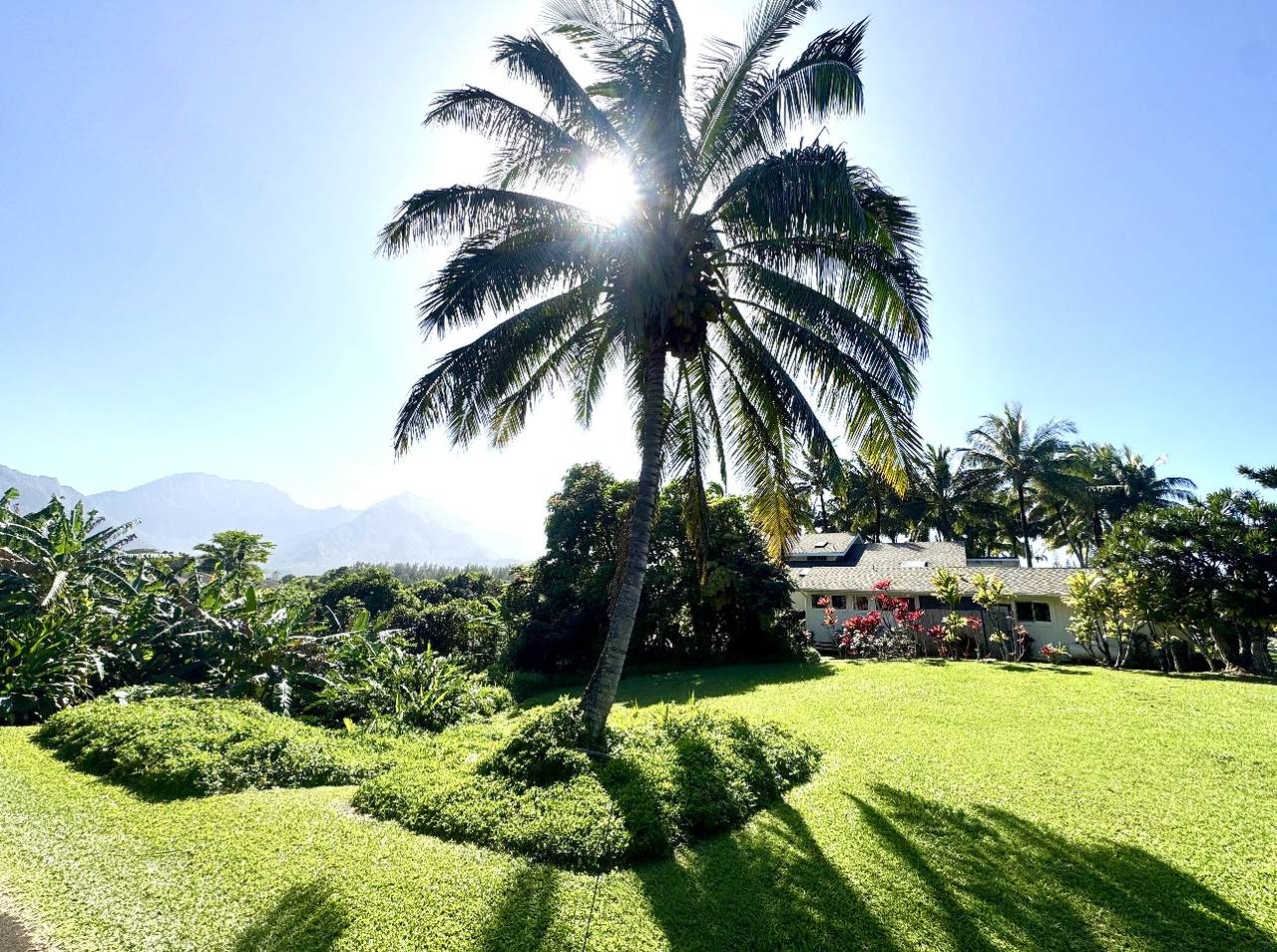 5339 Honoiki Rd - Photo 1