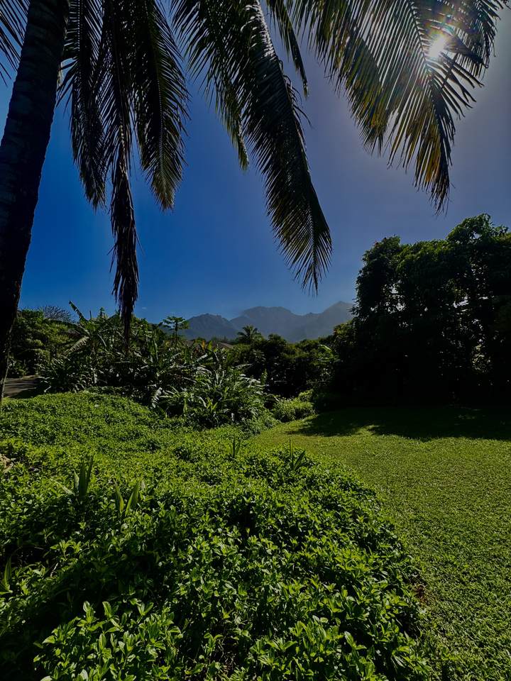 https://bt-photos.global.ssl.fastly.net/hawaii/1280_boomver_1_727801-1.jpg