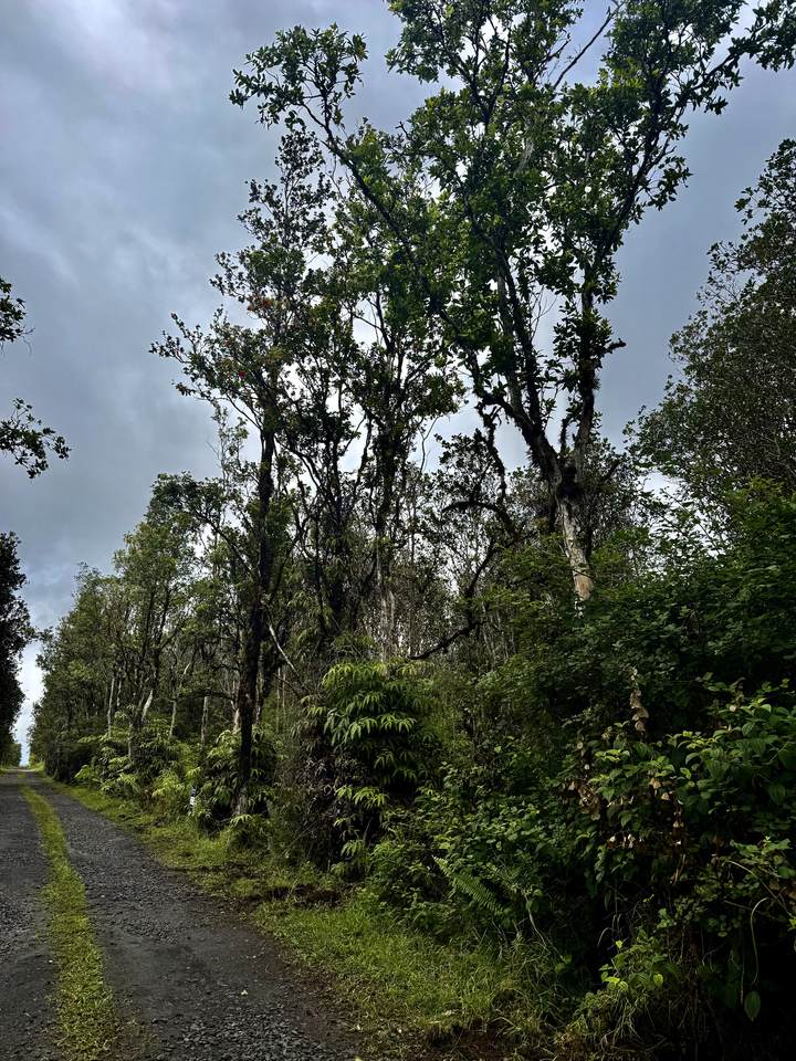  Road 9 - Photo 1