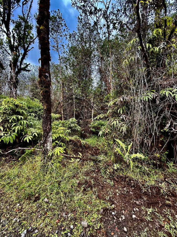 https://bt-photos.global.ssl.fastly.net/hawaii/1280_boomver_1_727871-1.jpg