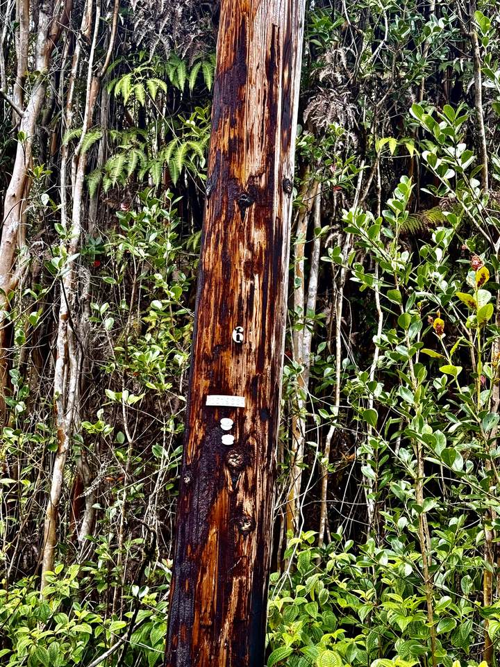 https://bt-photos.global.ssl.fastly.net/hawaii/1280_boomver_1_727871-1.jpg