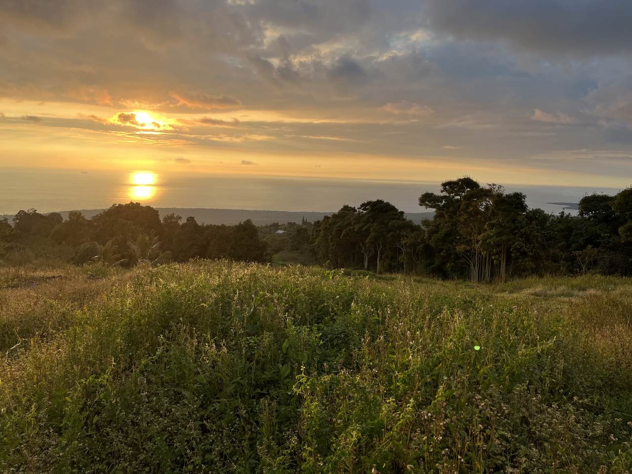 https://bt-photos.global.ssl.fastly.net/hawaii/1280_boomver_1_727874-1.jpg