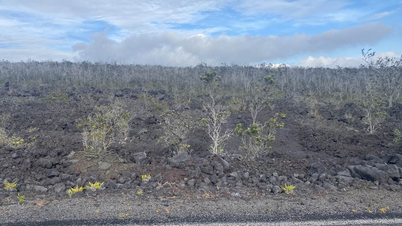  Trade Wind Blvd - Photo 1