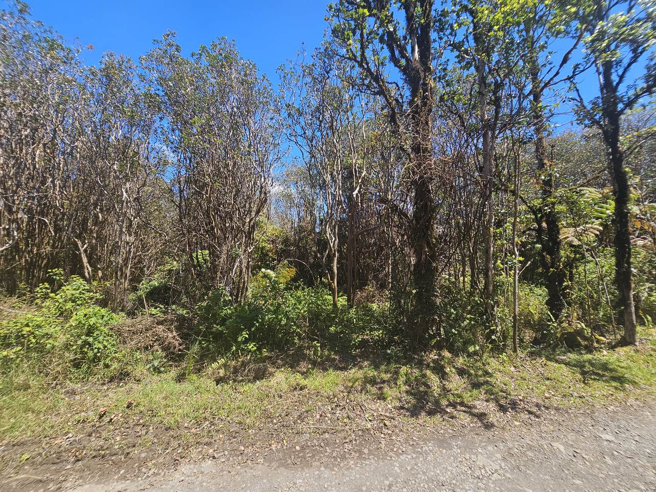  Road 9 - Photo 1