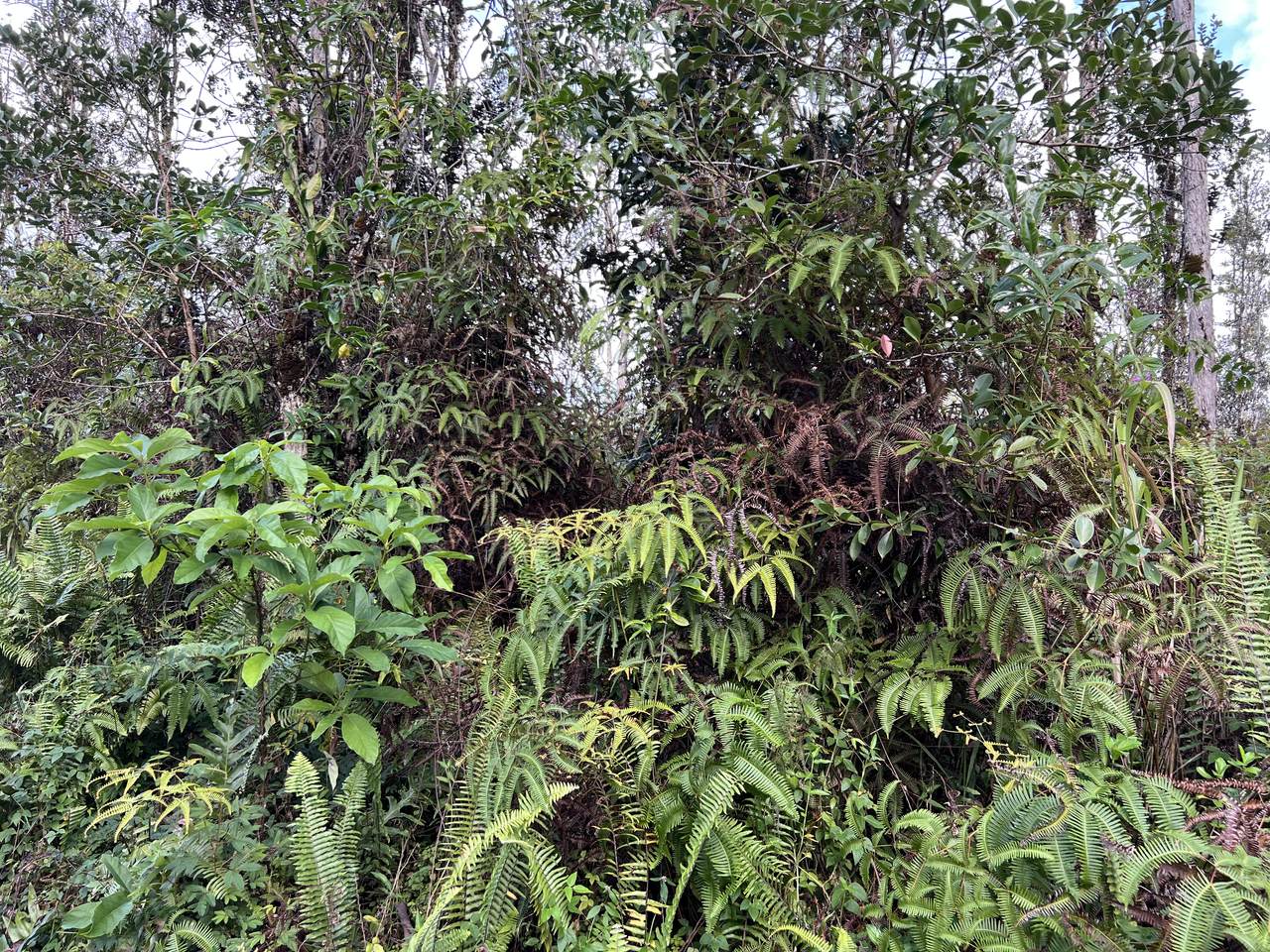  Seaview Rd - Photo 1