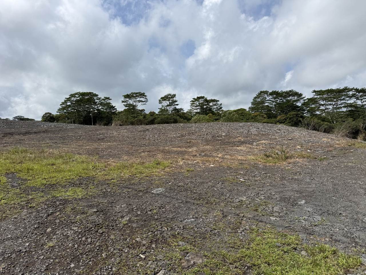 2690 Kuku Street - Photo 1