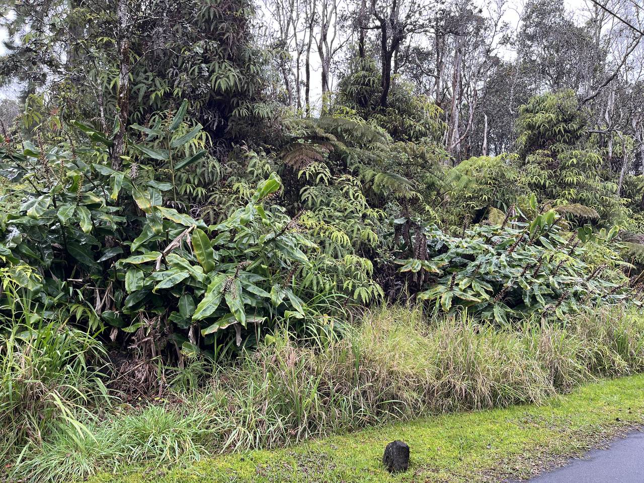 https://bt-photos.global.ssl.fastly.net/hawaii/1280_boomver_1_728290-1.jpg