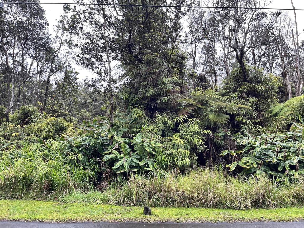  Nahelenani St - Photo 1