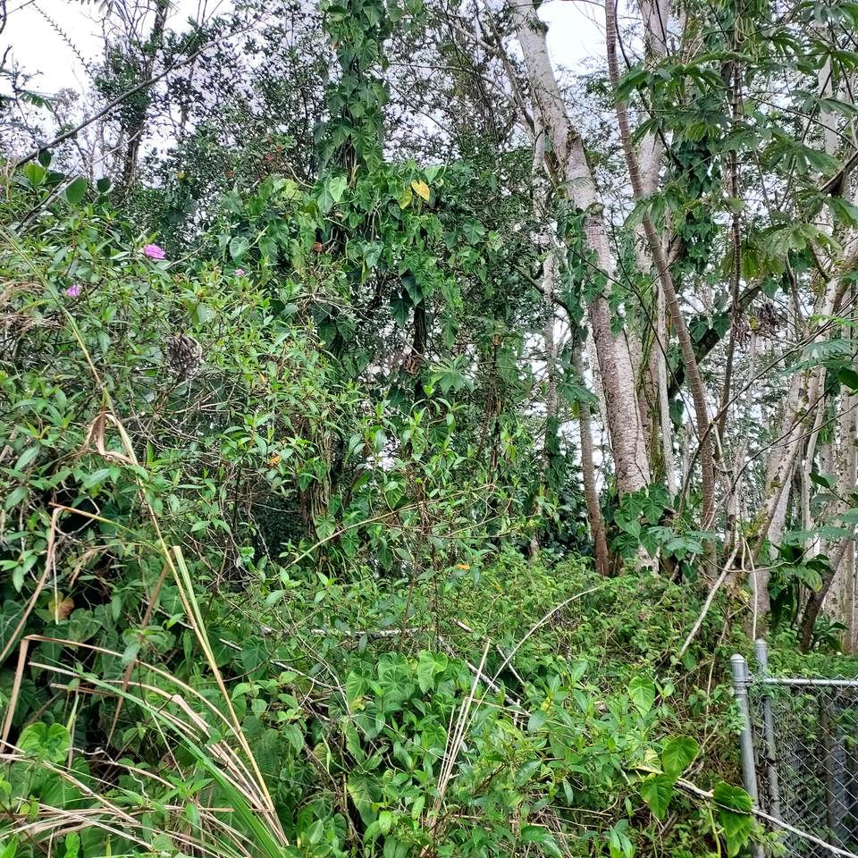 https://bt-photos.global.ssl.fastly.net/hawaii/1280_boomver_1_728317-1.jpg