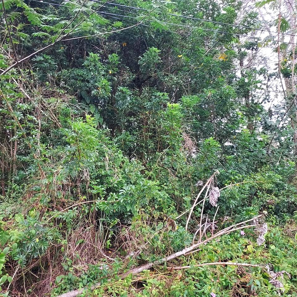 https://bt-photos.global.ssl.fastly.net/hawaii/1280_boomver_1_728317-1.jpg