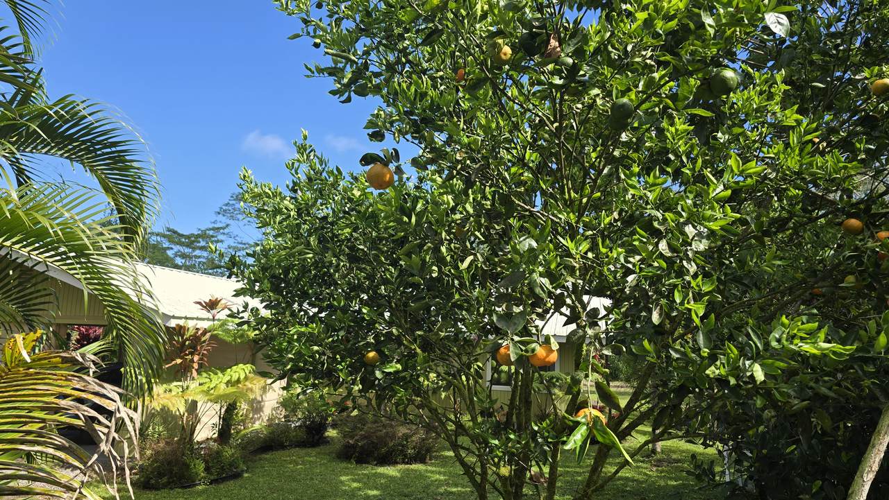 https://bt-photos.global.ssl.fastly.net/hawaii/1280_boomver_1_728465-1.jpg