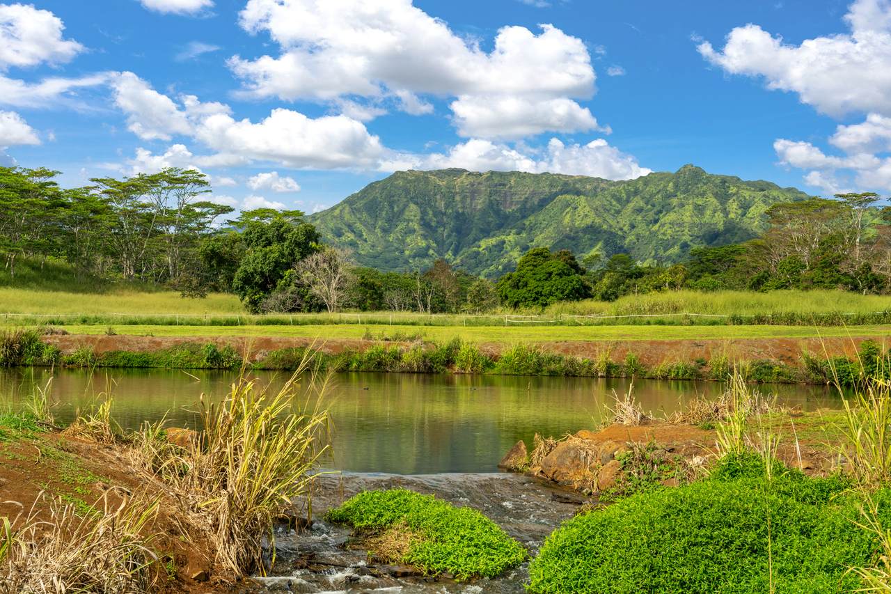 https://bt-photos.global.ssl.fastly.net/hawaii/1280_boomver_1_728491-1.jpg