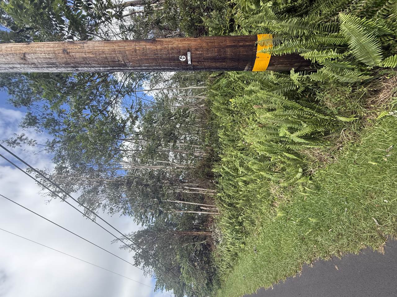 13-3557 Moku St - Photo 1