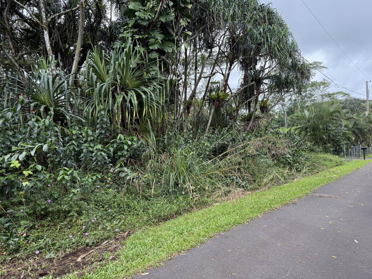 https://bt-photos.global.ssl.fastly.net/hawaii/1280_boomver_1_728554-1.jpg