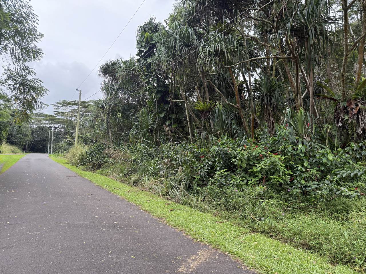 https://bt-photos.global.ssl.fastly.net/hawaii/1280_boomver_1_728554-1.jpg