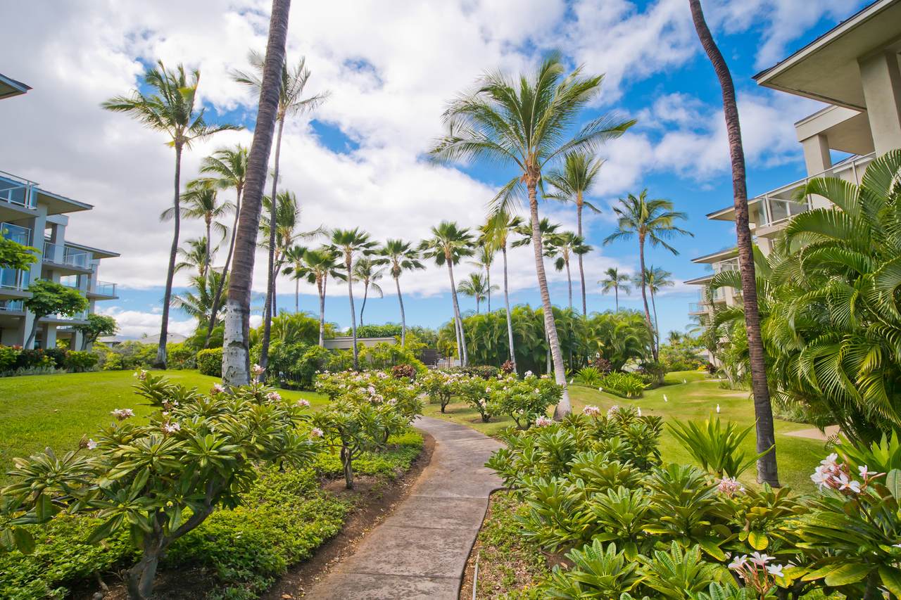https://bt-photos.global.ssl.fastly.net/hawaii/1280_boomver_1_728555-1.jpg