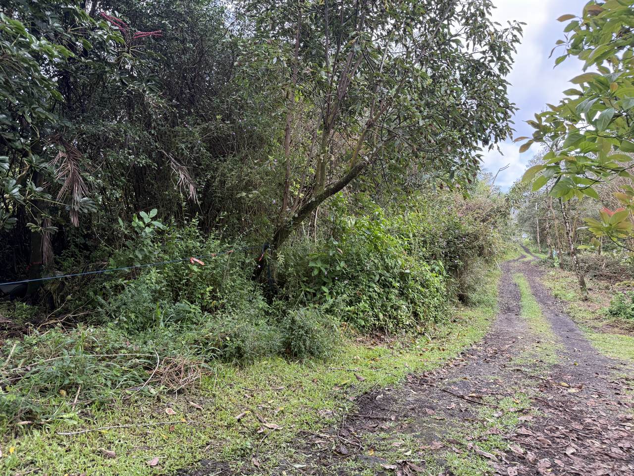 12-566 Hawaii St - Photo 1