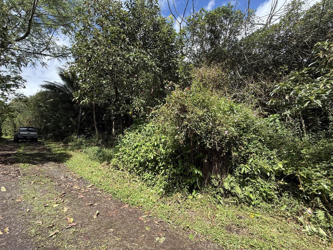 https://bt-photos.global.ssl.fastly.net/hawaii/1280_boomver_1_728584-1.jpg