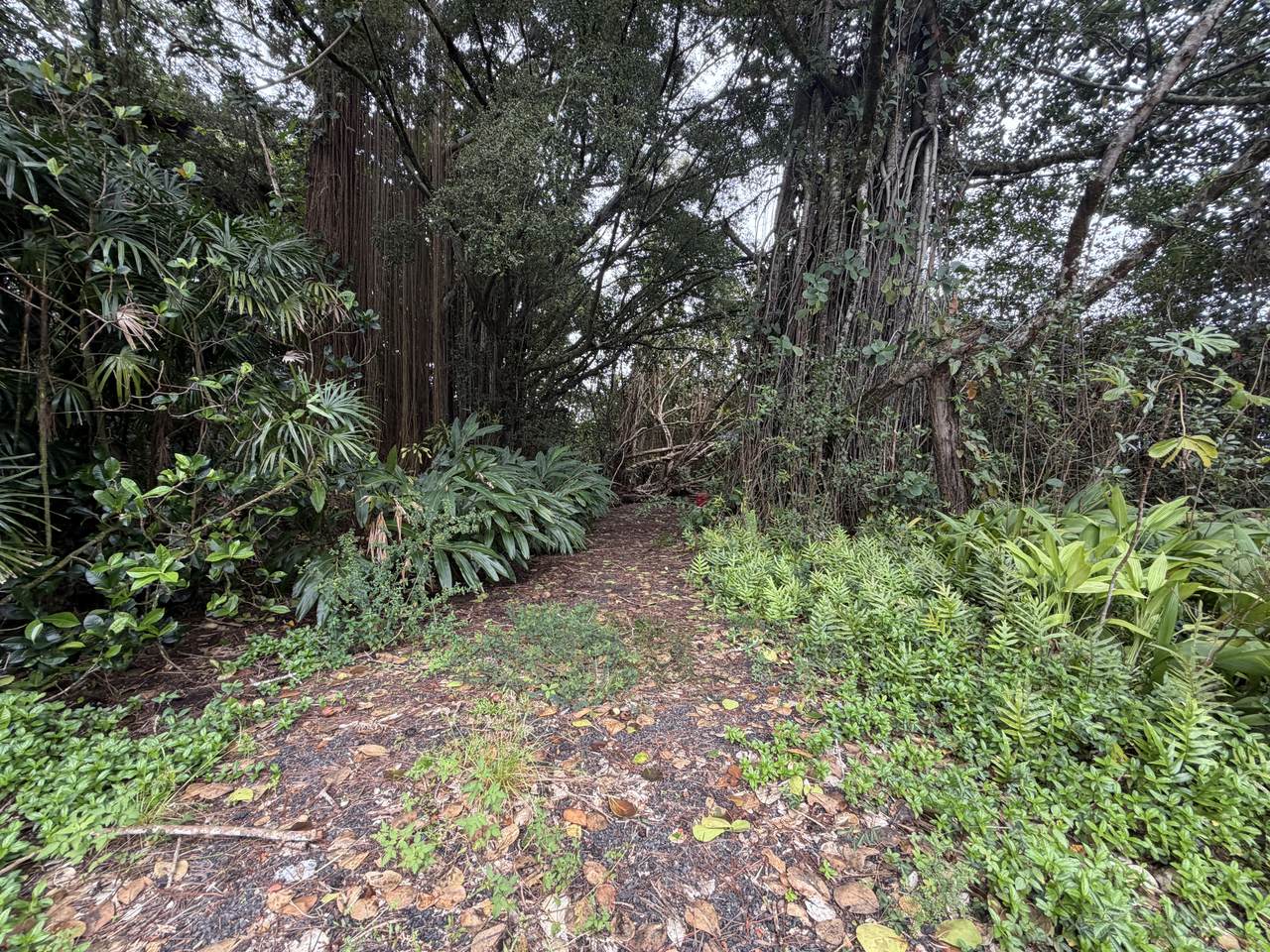 https://bt-photos.global.ssl.fastly.net/hawaii/1280_boomver_1_728817-1.jpg