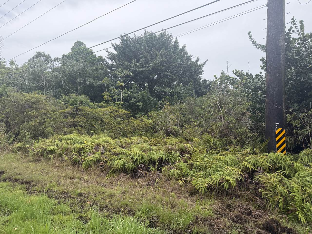 16-2078 Keaau Pahoa Rd - Photo 1