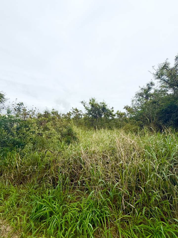 https://bt-photos.global.ssl.fastly.net/hawaii/1280_boomver_1_728857-1.jpg