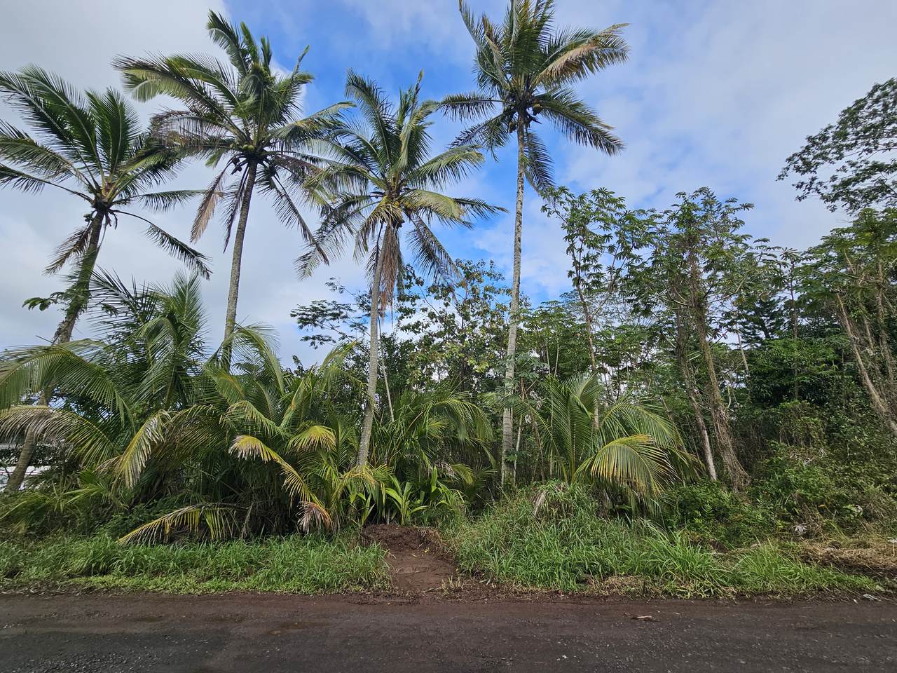 https://bt-photos.global.ssl.fastly.net/hawaii/1280_boomver_1_728863-1.jpg