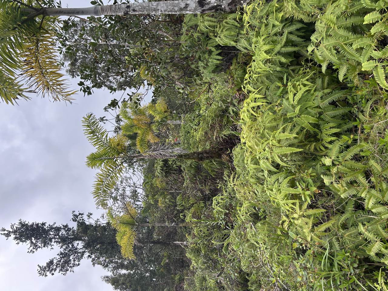 https://bt-photos.global.ssl.fastly.net/hawaii/1280_boomver_1_728866-5.jpg