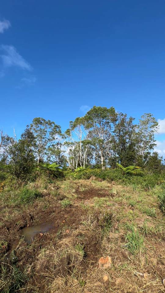 https://bt-photos.global.ssl.fastly.net/hawaii/1280_boomver_1_728919-1.jpg