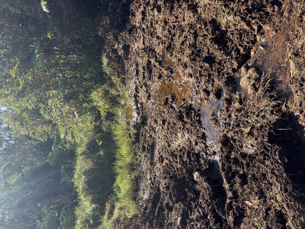 https://bt-photos.global.ssl.fastly.net/hawaii/1280_boomver_1_728919-1.jpg