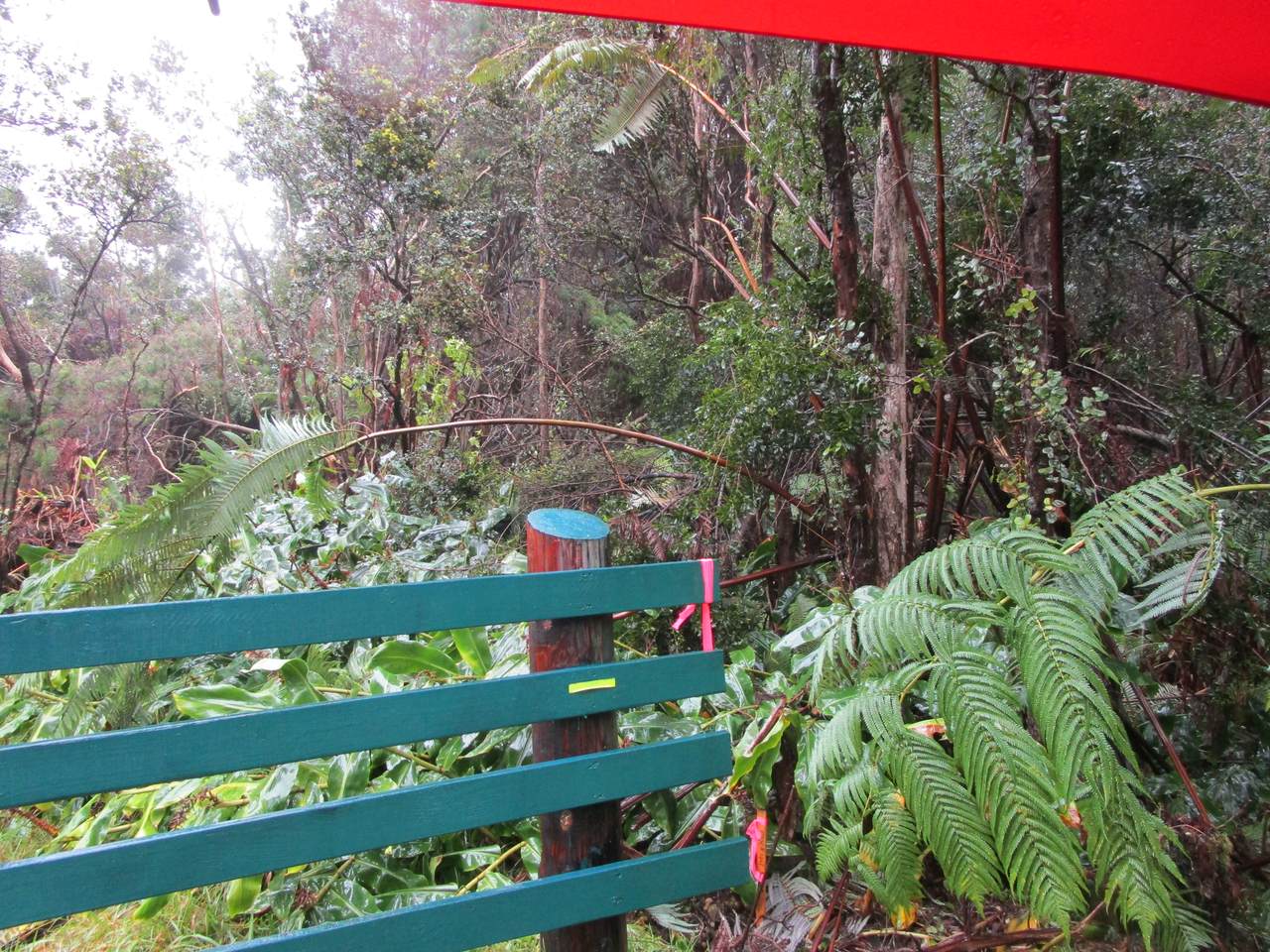 https://bt-photos.global.ssl.fastly.net/hawaii/1280_boomver_1_728962-1.jpg