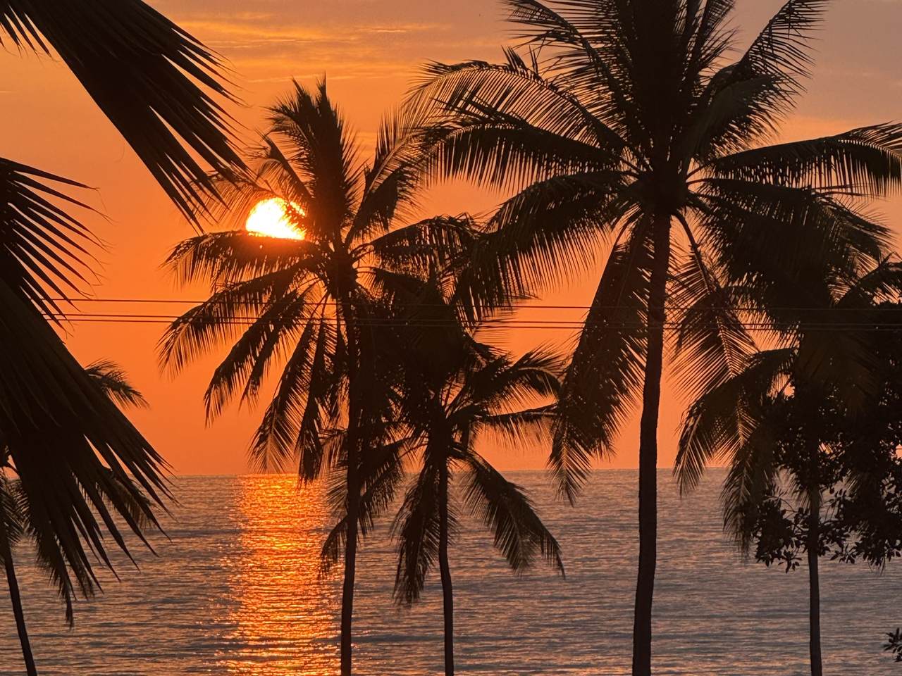 https://bt-photos.global.ssl.fastly.net/hawaii/1280_boomver_1_728984-1.jpg