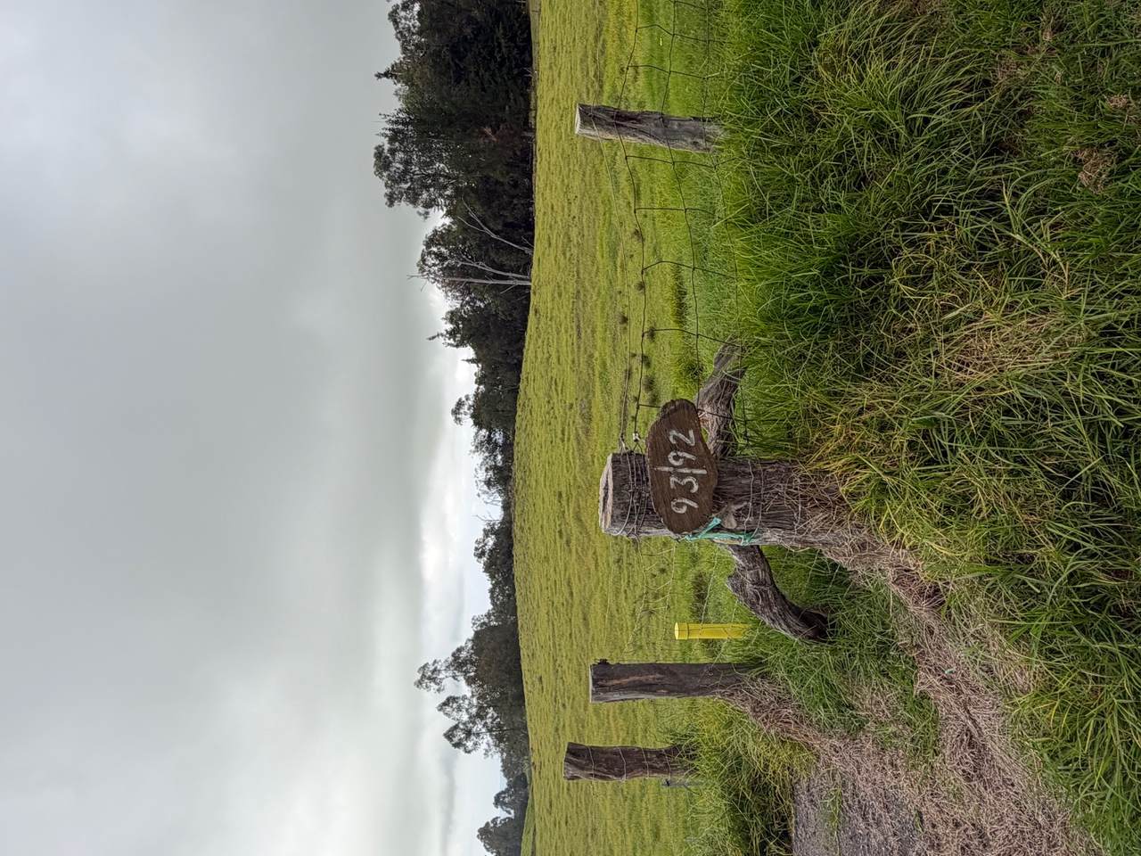https://bt-photos.global.ssl.fastly.net/hawaii/1280_boomver_1_729016-1.jpg