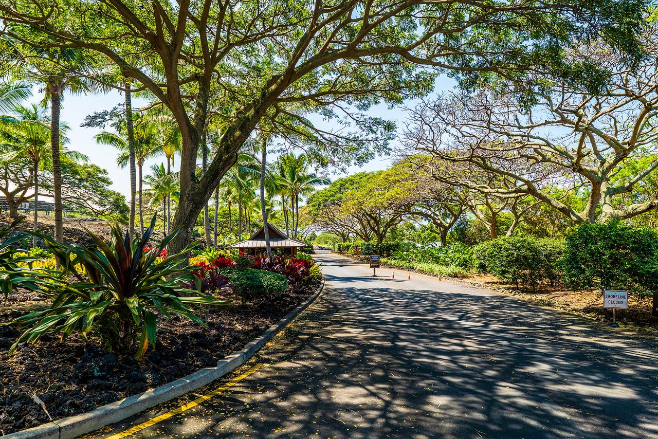 https://bt-photos.global.ssl.fastly.net/hawaii/1280_boomver_1_729033-1.jpg