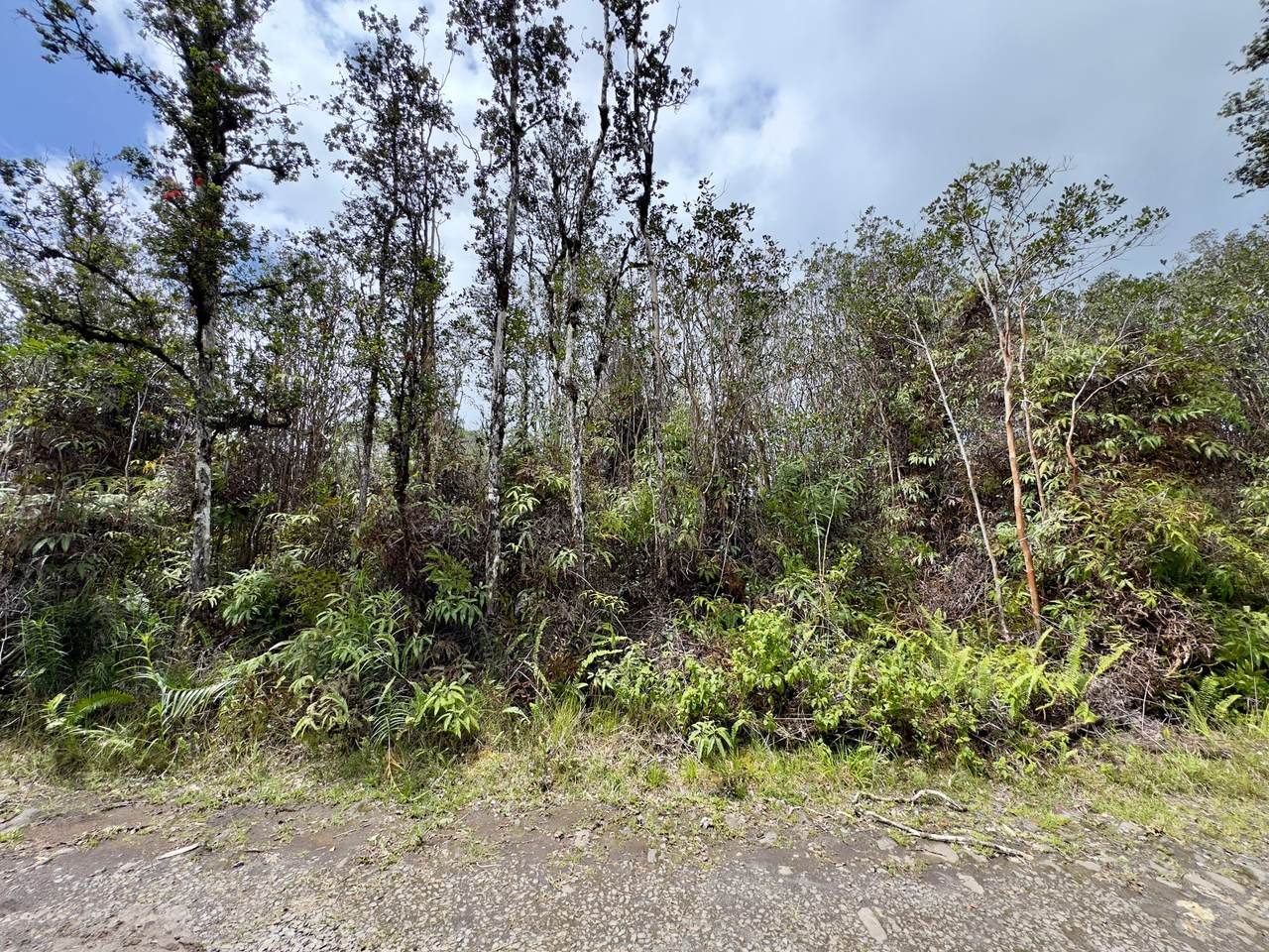  Road 7 (Opeapea) - Photo 1