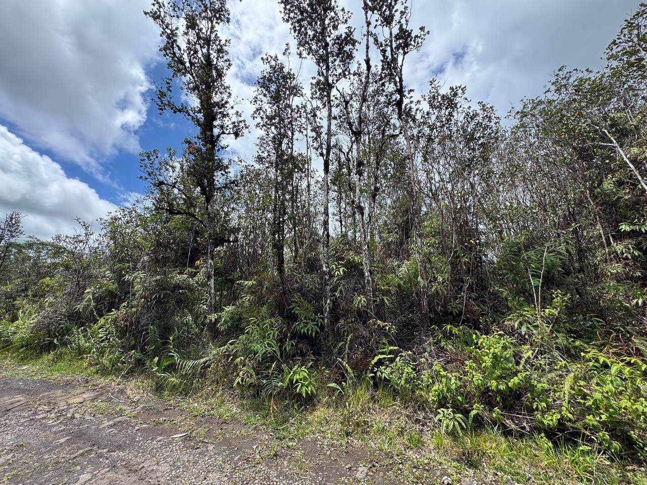 https://bt-photos.global.ssl.fastly.net/hawaii/1280_boomver_1_729058-1.jpg