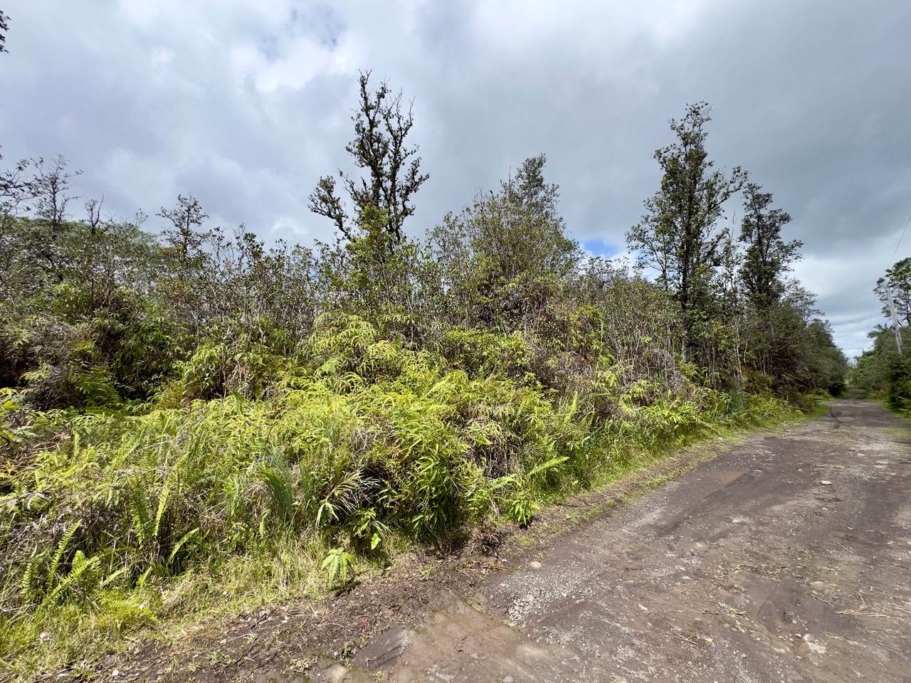 https://bt-photos.global.ssl.fastly.net/hawaii/1280_boomver_1_729058-1.jpg
