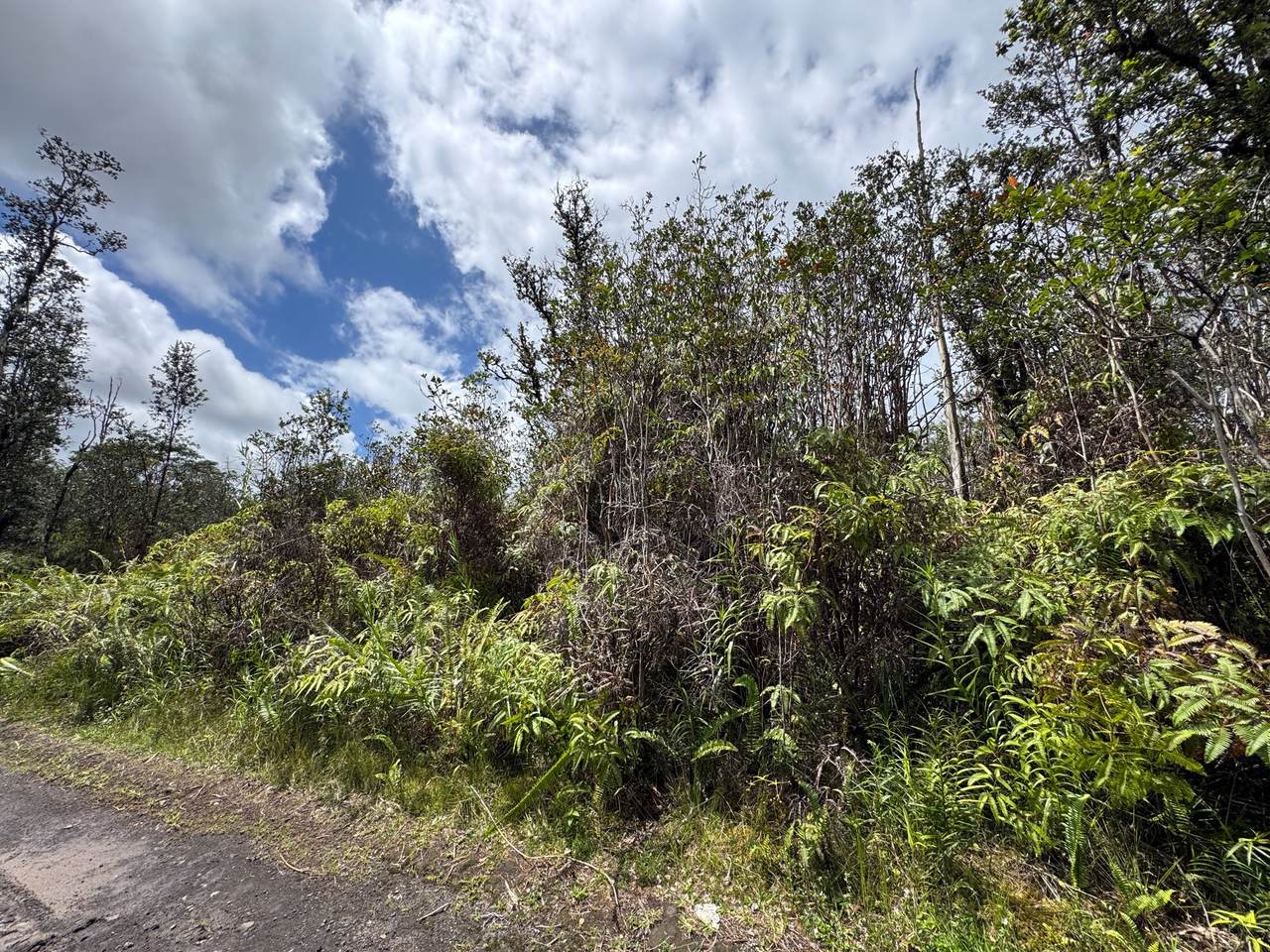 https://bt-photos.global.ssl.fastly.net/hawaii/1280_boomver_1_729058-1.jpg