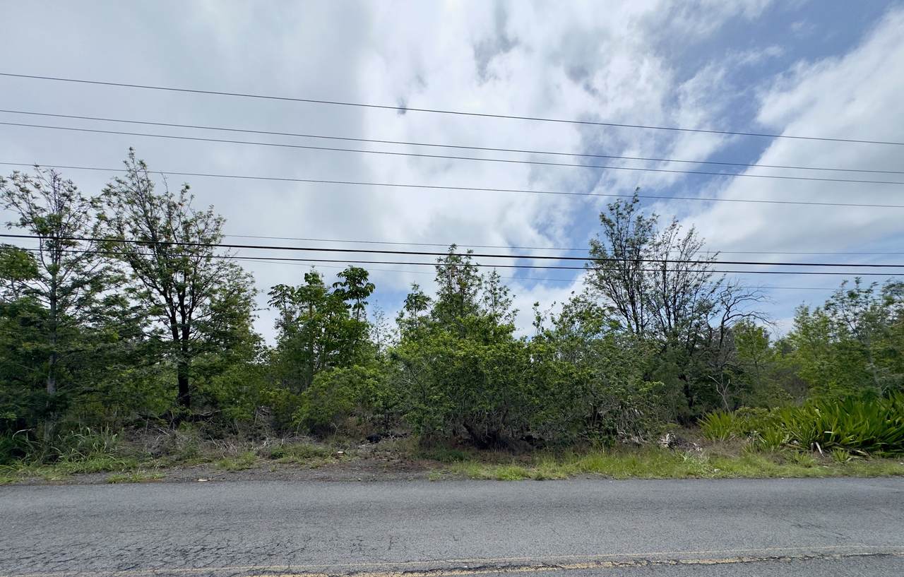  King Kamehamhea Blvd - Photo 1