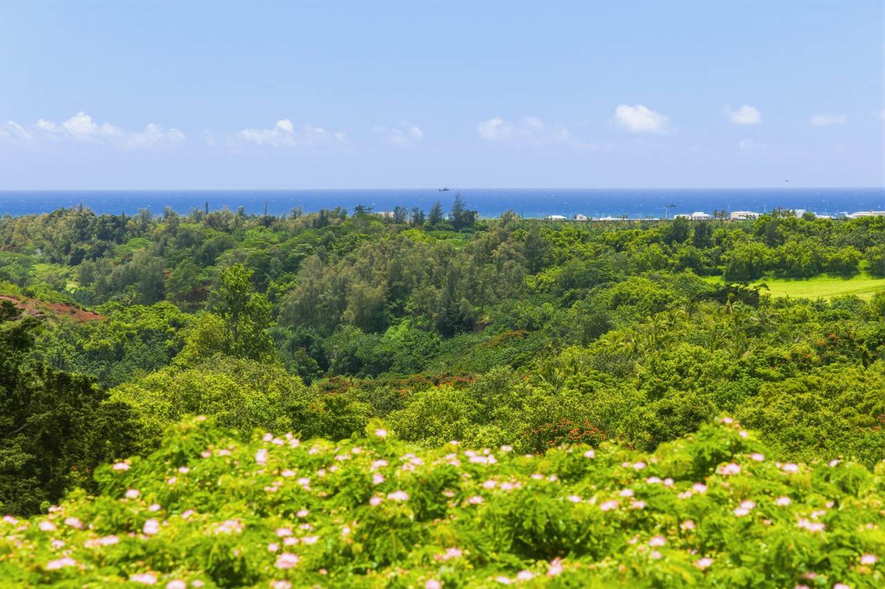 https://bt-photos.global.ssl.fastly.net/hawaii/1280_boomver_1_729102-1.jpg