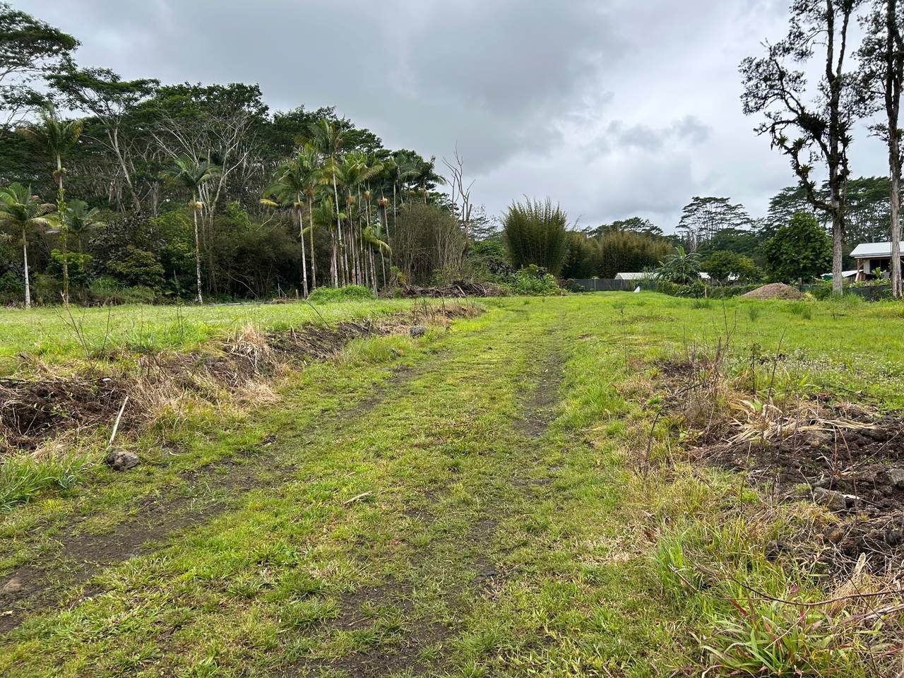 17-4117 Kukui Camp Rd - Photo 1