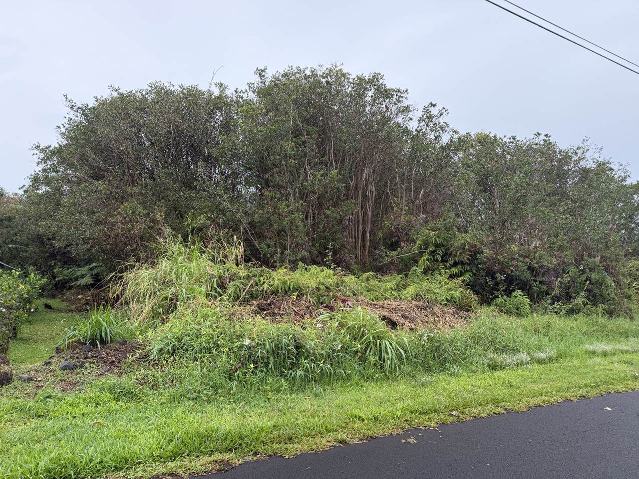  Kolika Rd - Photo 1