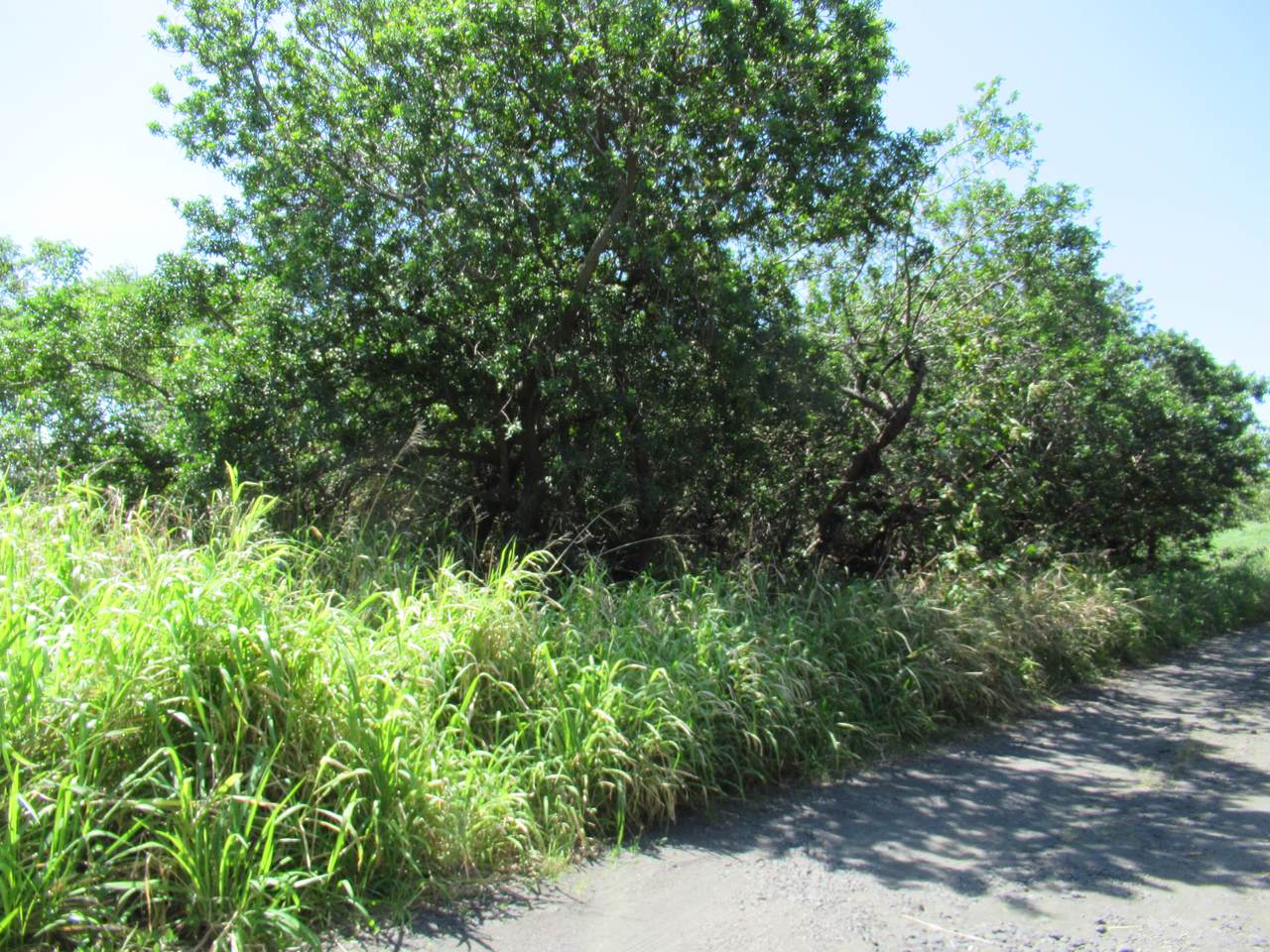 https://bt-photos.global.ssl.fastly.net/hawaii/1280_boomver_1_729348-1.jpg