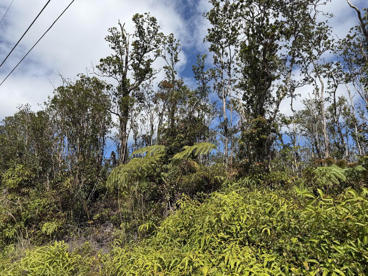  Makoa Rd - Photo 1